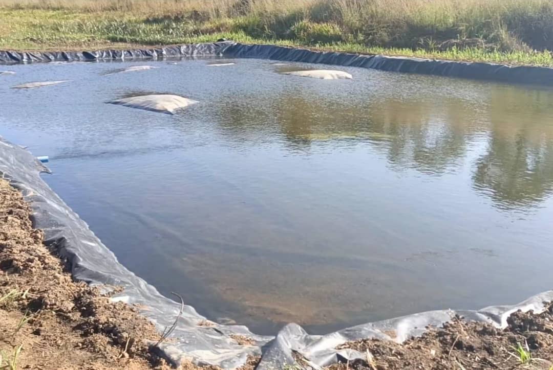 Projet : Étangs piscicoles